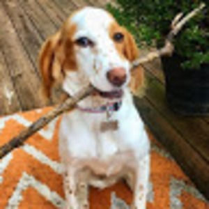 Meet your Posher, Penelope